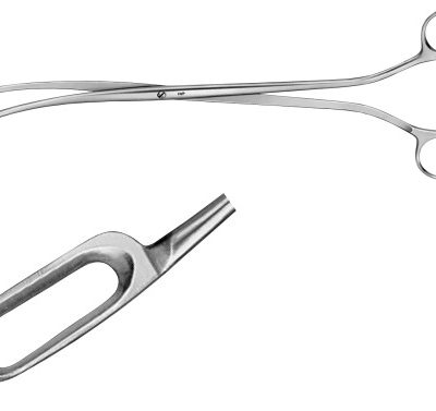 Desjardins (Rochester) Gall Stone Forceps, Oval Jaws, 2 1/2" (65.0 Mm), Curved, 9" (23.0 Cm), Large Jaws